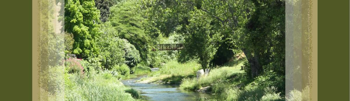 Walking bridge over creek