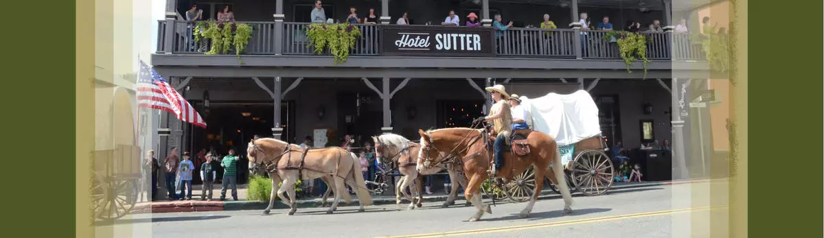 Horse-drawn carriage